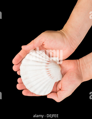 Shell Using Hand Lesn Scallop shell. Black isolated. Hand holding shell Stock Photo - Alamy