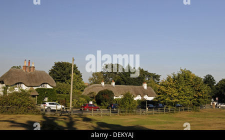 Thatched Cottages on Swan Green near Lyndhurst New Forest Hampshire England Stock Photo