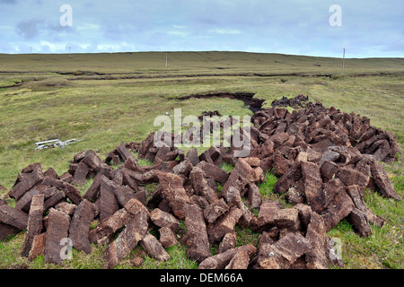 Peat Cutting; Yell; Shetland; UK Peat Cutting; Yell; Shetland; UK