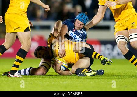 Salford, UK. 20th Sep, 2013. Sale Sharks lock Kirill Kulemin during the Aviva Premiership game between Sale Sharks and London Wasps from the AJ Bell Stadium. Credit:  Action Plus Sports/Alamy Live News Stock Photo