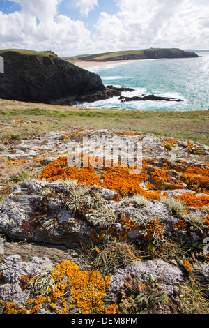 Looking towards Hollywell Beach near Newquay, Cornwall, UK. Stock Photo