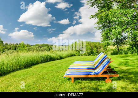 Two wooden outdoor lounge chairs on lush green lawn with trees Stock Photo