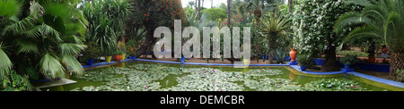 Panoramic view of the Jardin Majorelle in Marrakech, Morocco Stock Photo