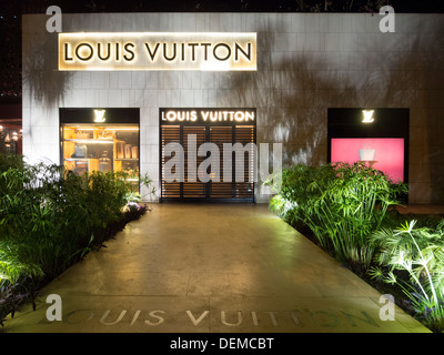 The Luis Vuitton Store in Collins Street Melbourne Victoria Australia Stock  Photo - Alamy