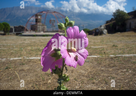 The castle grounds in Gjirokastra, birthplace of former Albanian communist leader Enver Hoxha  and writer Ismail Kadare Stock Photo