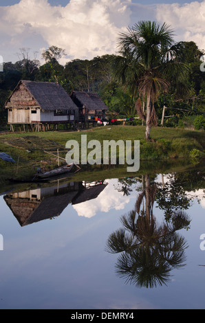 houses thatched with Irapay Palm Lepidocaryum tessmanii Rainforest, Rio Napo, amazon, Peru Stock Photo