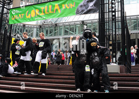 Now in its 10th year, this incredible event has raised more than £1.9 million for biodiversity conservation and poverty reduction projects in central Africa.  Since the first Great Gorilla Run in 2003, thousands of people have donned their gorilla suits and joined the 7k fun run route starting at Mincing Court in the City and passing some of LondonÕs most iconic landmarks, including the Tower of London and St PaulÕs Cathedral. Stock Photo