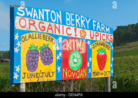 California Santa Cruz County Swanton Berry Farm sign Stock