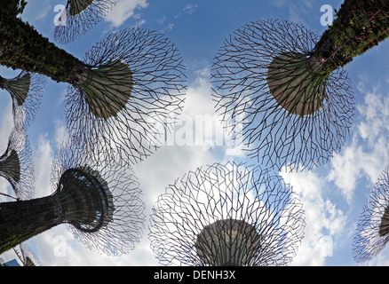 Steel and concrete tree like structures form the Supertree Grove, at the Gardens by the Bay in Singapore. Stock Photo