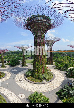 Steel and concrete tree like structures form the Supertree Grove, at the Gardens by the Bay in Singapore. Stock Photo