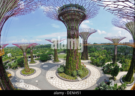 Steel and concrete tree like structures form the Supertree Grove, at the Gardens by the Bay in Singapore. Stock Photo