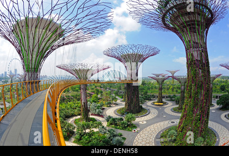 Steel and concrete tree like structures form the Supertree Grove, at the Gardens by the Bay in Singapore. Stock Photo