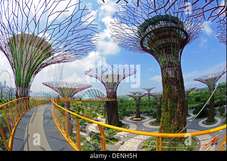 Steel and concrete tree like structures form the Supertree Grove, at the Gardens by the Bay in Singapore. Stock Photo