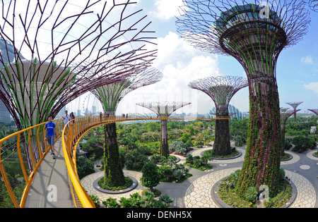 Steel and concrete tree like structures form the Supertree Grove, at the Gardens by the Bay in Singapore. Stock Photo