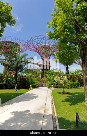 Steel and concrete tree like structures form the Supertree Grove, at the Gardens by the Bay in Singapore. Stock Photo