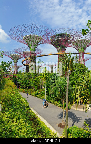 Steel and concrete tree like structures form the Supertree Grove, at the Gardens by the Bay in Singapore. Stock Photo