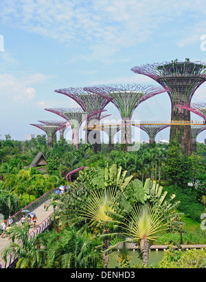 Steel and concrete tree like structures form the Supertree Grove, at the Gardens by the Bay in Singapore. Stock Photo