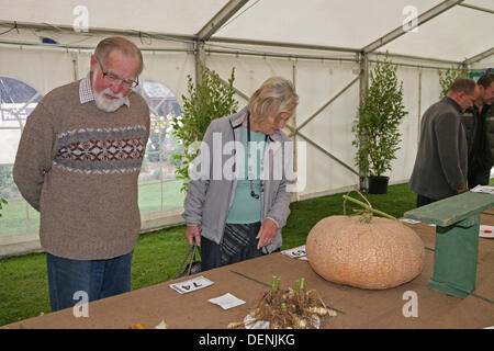 Knockholt,UK,22nd September 2013,Visitors looked at the pumpkins at the Bromley In Bloom Competitio Credit: Keith Larby/Alamy Live News Stock Photo