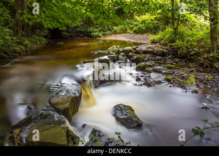 Long exposure shot of the River Rivelin as it tumbles through the Rivelin Valley in Sheffield. Stock Photo