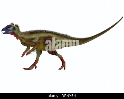 Hypsilophodon is an ornithopod dinosaur from the Early Cretaceous period of Europe. Stock Photo
