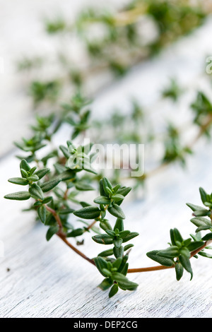 A sprig of fresh thyme on a white wooden surface. Stock Photo