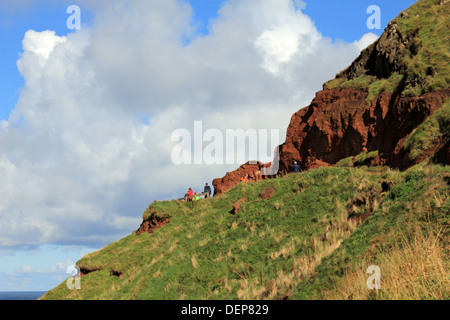 Giant's Causeway near Bushmills, Antrim, Northern Ireland, UK. Stock Photo