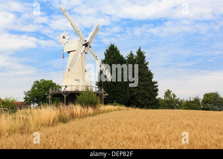 19th century Kentish smock mill restored working wooden windmill beyond a field of Barley in English countryside. Woodchurch Kent England UK Britain Stock Photo