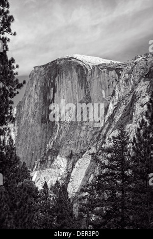 One of many famous sights at Yosemite National Park, this is a view of Half Dome from the valley floor. Stock Photo