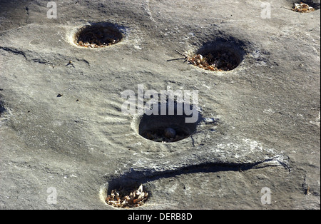 Petroglyph and bedrock mortar holes, or chaw’se, used by Miwok to grind acorns and seeds, Indian Grinding Rock SHP, California. Digital photograph Stock Photo