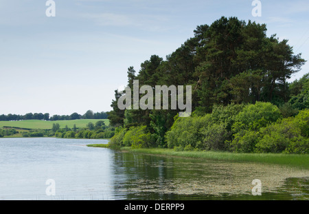 Lindean Loch nature reserve and lake near Selkirk Scottish Borders, in summer Stock Photo
