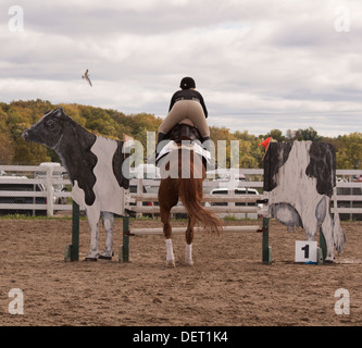 Woman on horse jumping over rail fence that looks like a holstein cow. Competing in jumping class at Lindsay Fair and Exhibition Stock Photo
