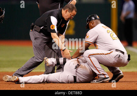 St. Petersburg, Florida, USA. 23rd Sep, 2013. JAMES BORCHUCK | Times.A Baltimore Orioles trainer, left, and first base coach Wayne Kirby, right, tend to Manny Machado in the seventh inning after the O's third baseman suffered an apparent left knee injury when he ran through the first base bag awkwardly during Baltimore's game against the Tampa Bay Rays at Tropicana Field Monday, Sept. 23, 2013 in St. Petersburg, Fla. Credit:  James Borchuck/Tampa Bay Times/ZUMAPRESS.com/Alamy Live News Stock Photo