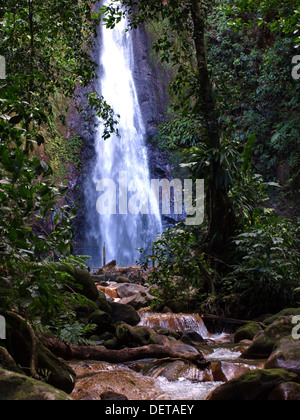 Milton (Syndicate) Falls in the Commonwealth of Dominica, Caribbean, West Indies. Stock Photo