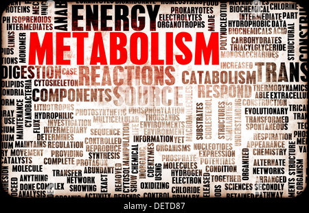 Metabolism as a Medical Health Exercise Concept Stock Photo