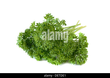 Bunch of fresh green curly parsley. Isolated on white Stock Photo