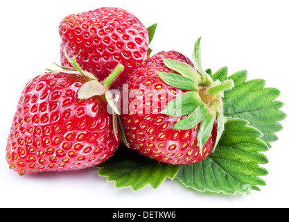 Strawberries with leaves isolated on a white background. Stock Photo