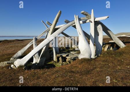 historic Inuit house from the Thule Culture made out of whale