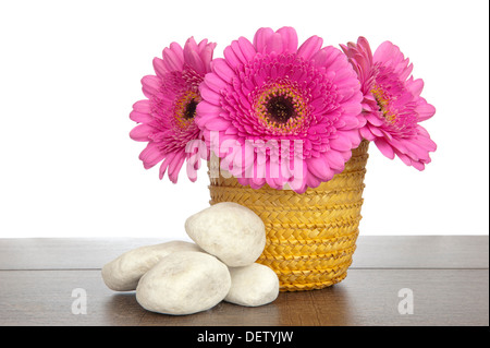 Pink Gerbera in yellow straw basket beside four white stones on a dark brown wooden shelf Stock Photo