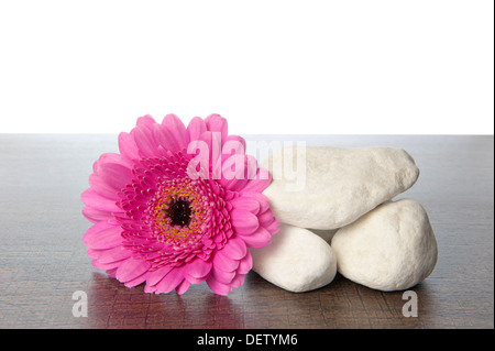 Stack of white stones with a pink Gerbera on a dark brown wooden shelf Stock Photo