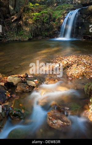 Blow Gill, near Osmotherley, North Yorkshire Stock Photo