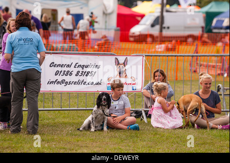 The All About Dogs Show at the Norfolk Showground, Norwich, Norfolk, England, Britain, Uk Stock Photo