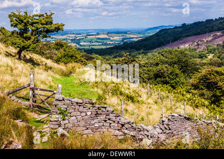A tumbledown dry stone wall and wooden gate along a public footpath in the Cwm Oergwm in the Brecon Beacons National Park. Stock Photo
