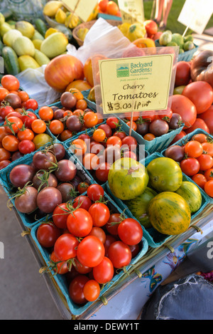 A variety of tomatoes for sale at the Wallowa County Farmer's Market in Enterprise, Oregon. Stock Photo