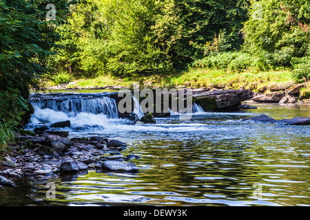 The River Usk near Llangynidr in the Brecon Beacons National Park, Wales. Stock Photo