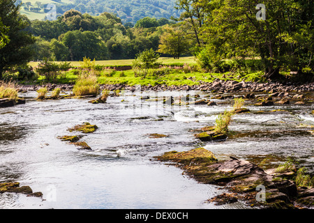 The River Usk near Llangynidr in the Brecon Beacons National Park, Wales. Stock Photo