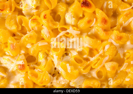 Fresh yellow macaroni adn melted cheese as background Stock Photo