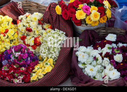 Flowers in baskets for making garlands on an Indian street. India Stock Photo