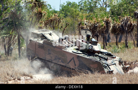 Marines with Alpha Company, 1st Tank Battalion, 1st Marine Division, and Australian soldiers with 1st Aromoured Regiment, Royal Stock Photo