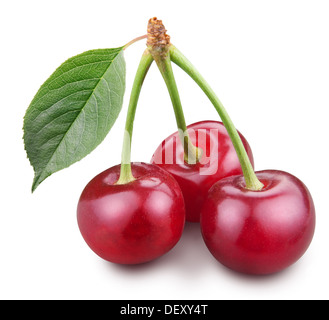 Three ripe cherries isolated on a white background. Stock Photo