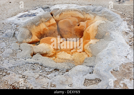 Shell Spring, geyser, hot spring, Biscuit Basin, Yellowstone National Park, Wyoming, USA Stock Photo